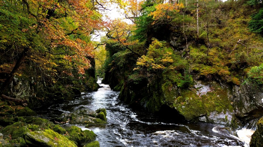 FAIRY GLEN- BEAUTIFUL GORGE WALK AT&nbsp;BETWS-Y-COED